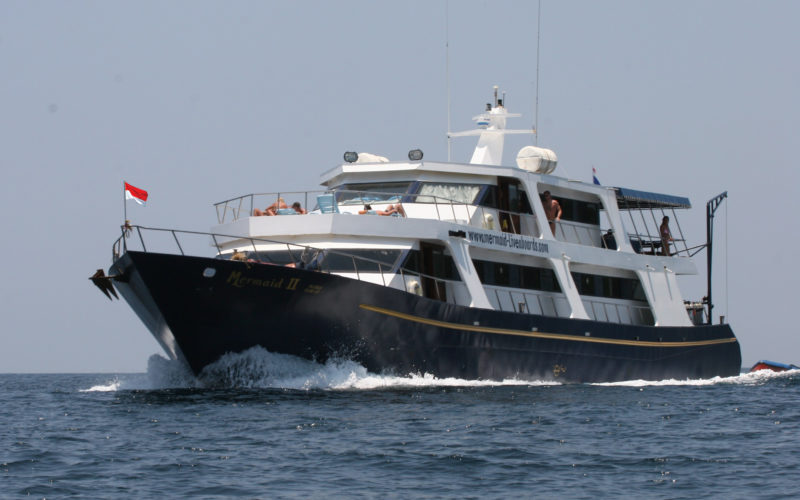 Tauchschiff Mermaid 2