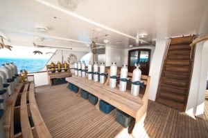 Tauchdeck Safariboot Independence 2