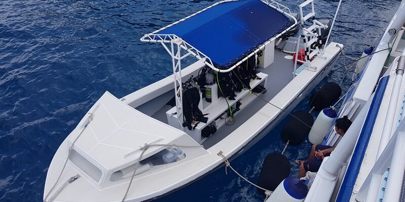 Zodiak Tauchsafariyacht Seahunter
