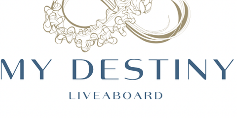 logo-my-destiny