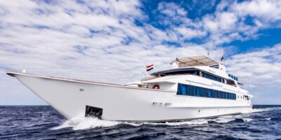 Royal Evolution_Front