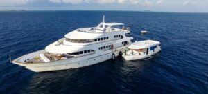 Schiff Dhoni Tauchyacht Carpe Diem