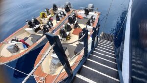 Leiter zu Zodiaks Tauchschiff Dewi Nusantara