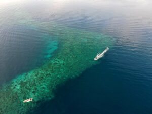 Riff Safariyacht Dewi Nusantara