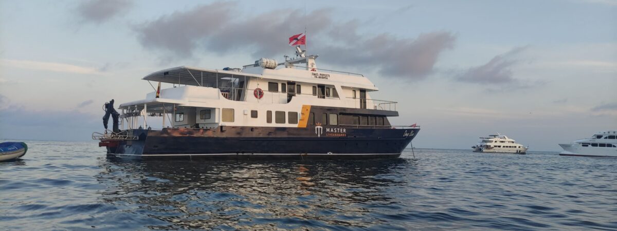 Seitansicht Tauchsafariyacht Galapagos Master