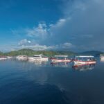 Boote Gangaa Divers Hausriff Hotel Papua Paradise