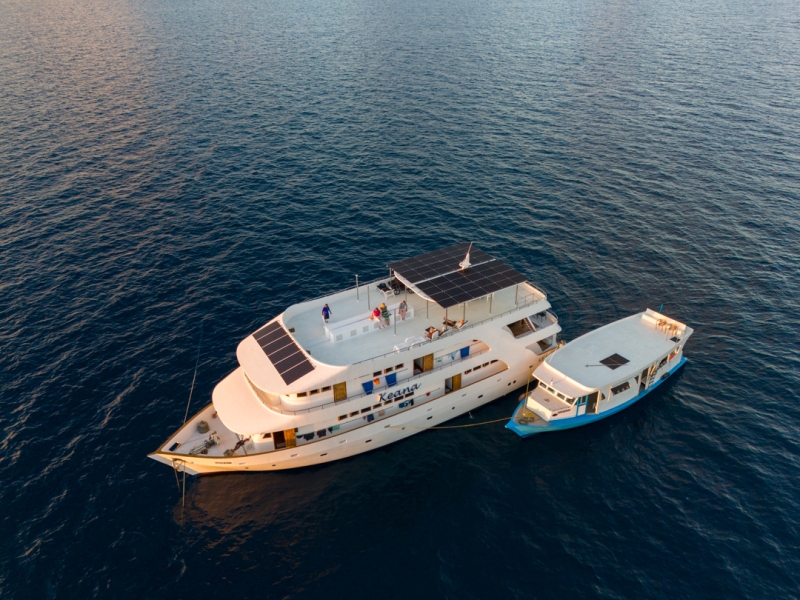 Schiff Dhoni Tauchschiff Keana