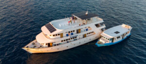 Tauchyacht Tauchsafariyacht Keana