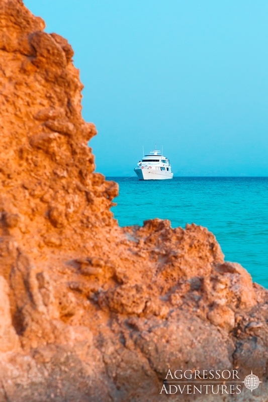 felsen-yacht-red-sea-aggressor-ii Felsen Safariyacht Red Sea Aggressor II
