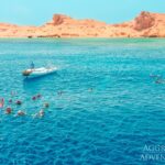 Taucher Wasser Tauchsafariboot Red Sea Aggressor II