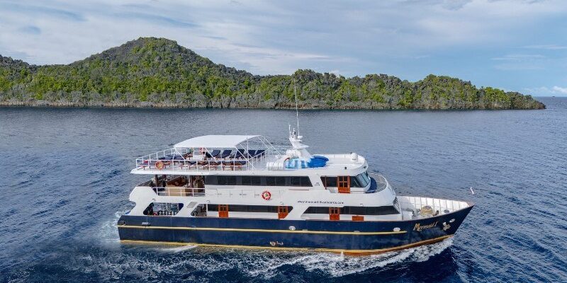 Seitansicht Tauchyacht Mermaid 1