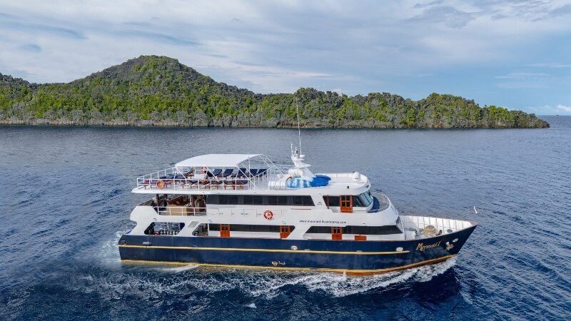 Seitansicht Tauchyacht Mermaid 1