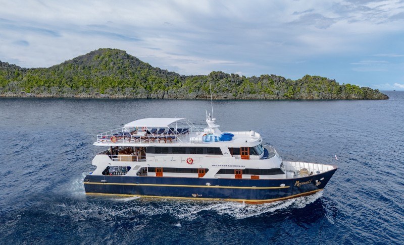 Seitansicht Tauchyacht Mermaid 1