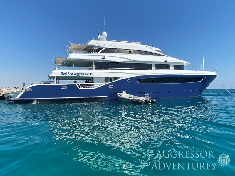 Übersichtsbild Safariboot Red Sea Aggressor IV