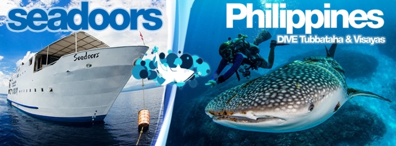 banner-2-seadoors Banner 2 Safarischiff Seadoors