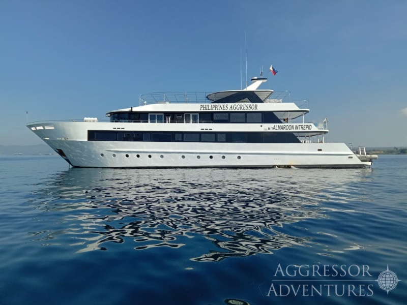 Beitragsbild Tauchsafariyacht Philippines Aggressor