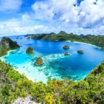 Insel Safariyacht Pindito