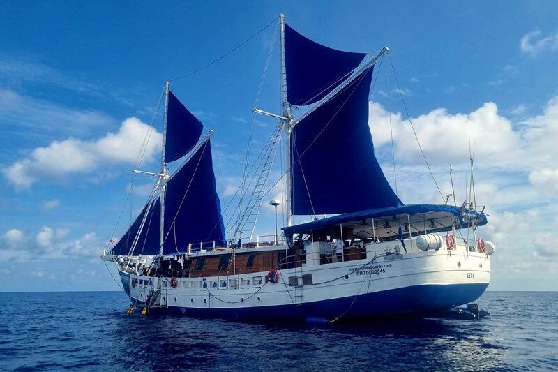Seitansicht Tauchsafarischiff Philippine Siren