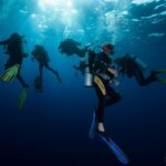Taucher Tauchsafariboot Seadoors