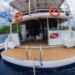 Tauchplattform Safariboot Seadoors