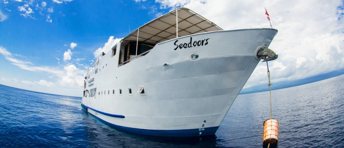 titelbild-seadoors Titelbild Tauchsafarischiff Seadoors