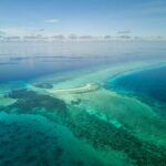 Tubbataha North Atoll Safariboot Philippine Siren