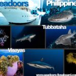 Tubbataha Visayas Seadoors Safarischiff Seadoors
