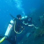 Diveguide Tauchschiff Carpe Diem Phinisi