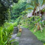 Gehweg Garten D'Lagoon Dive Resort