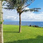 Kokosnusspalme Kawayan Holiday Resort