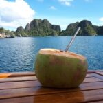 Frische Kokosnuss Safariyacht Carpe Diem Phinisi