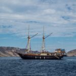 Ohne Segel Tauchschiff Carpe Diem Phinisi