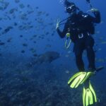 Taucher Safariyacht Carpe Diem Phinisi