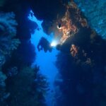 Tauchen Tauchschiff Carpe Diem Phinisi