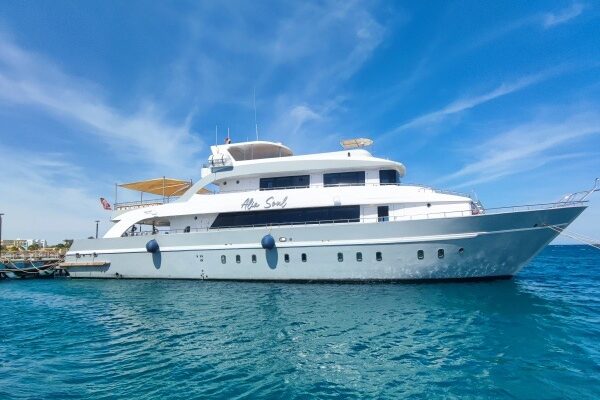 schiff-2-alia-soul schiff-2-alia-soul