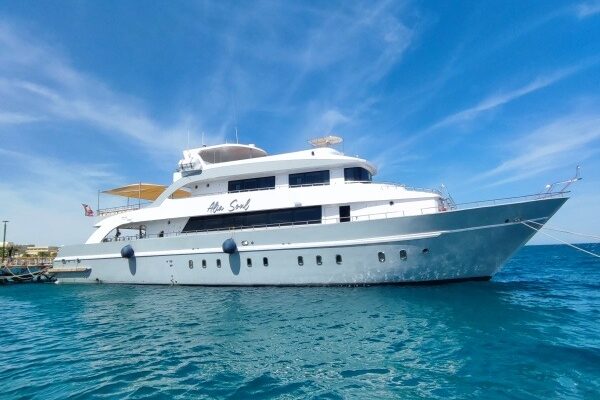 schiff-alia-soul schiff-alia-soul