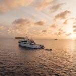 Rückseite Sonnenlicht Tauchyacht White Pearl