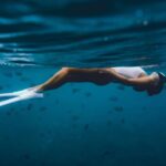 Schnorcheln Safariyacht White Pearl