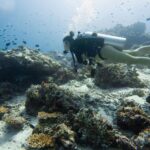 Tauchen Tauchboot White Pearl