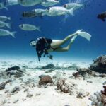 Tauchen Tauchschiff White Pearl