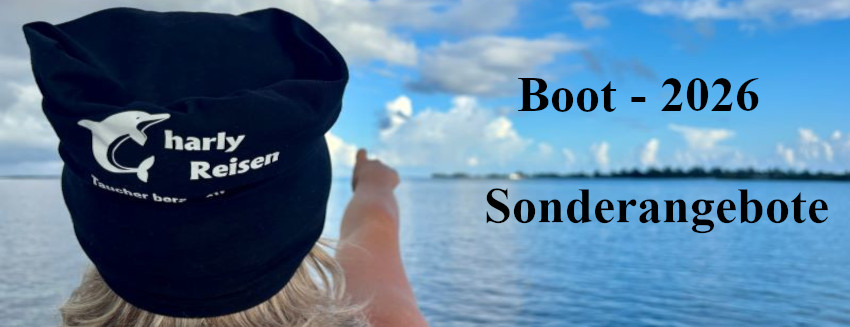 Boot 2026_Bild Lang (1)