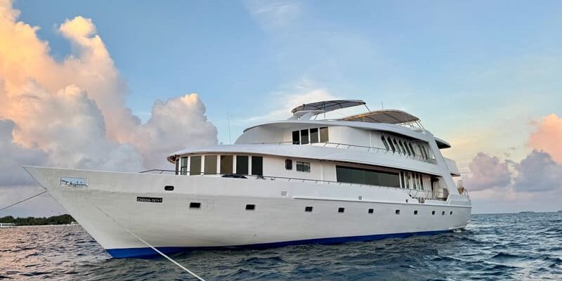 Beitragsbild Tauchsafariyacht Amba