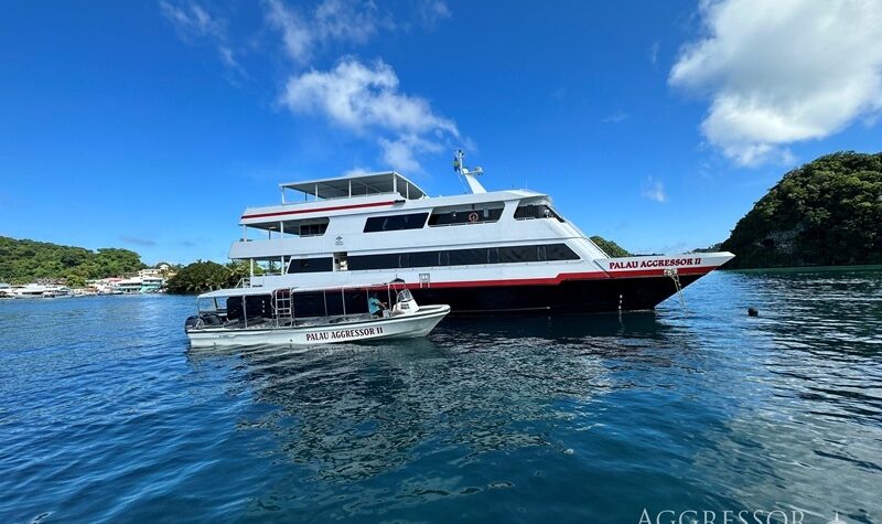 schiff-dhoni-palau-aggressor-ii Schiff Dhoni Palau Aggressor II