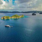 Palau Tauchboot Black Pearl