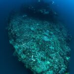 Iro Maru Safariboot Palau Siren