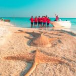 Manta Walhai Sand Tauchboot Maldives Aggressor II