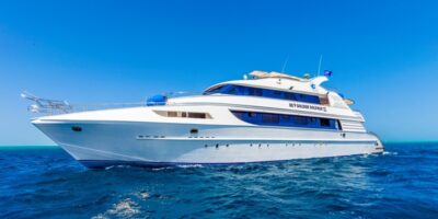 seitansicht2-golden-dolphin-3