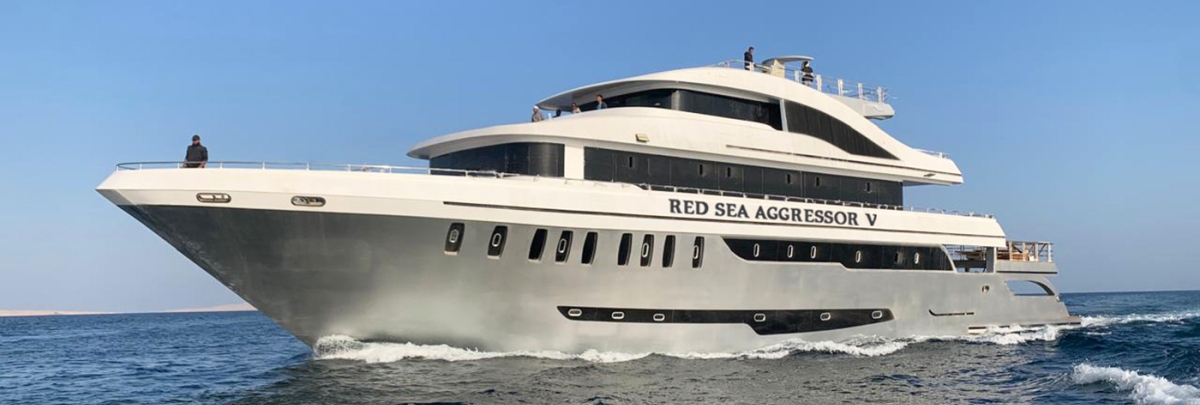 Red Sea Aggressor V Tauchboot Red Sea Aggressor V