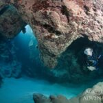 Tauchen Tauchsafarischiff Red Sea Aggressor V