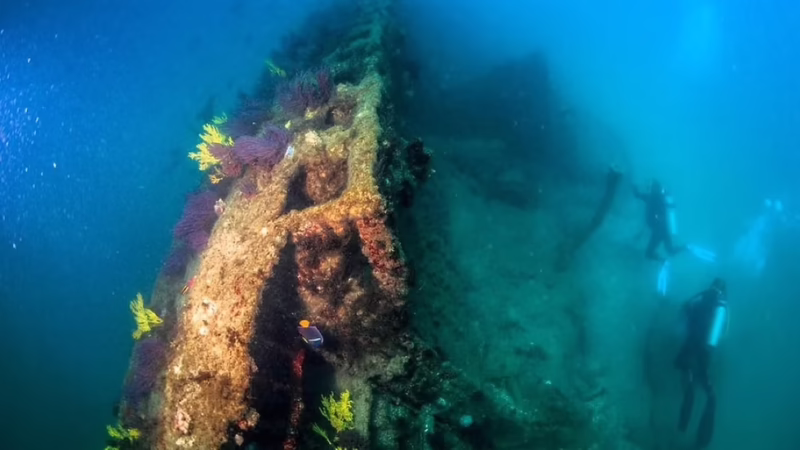 madgdalena-bay-isla-margarita-cc-the-scuba-place Isla Santa Margarita ©The Scuba Place